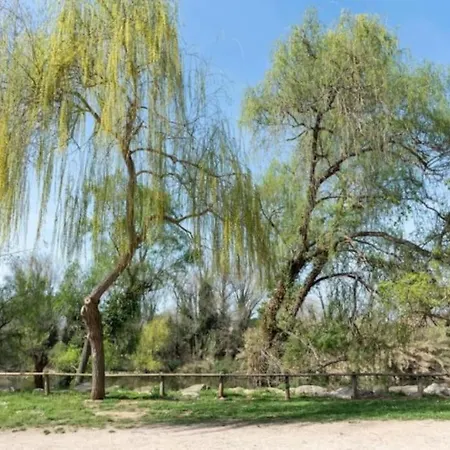 Acogedor Cerca Del Casco Antiguo *