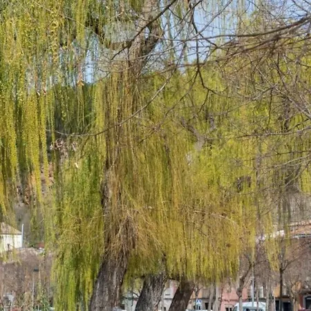 Acogedor Cerca Del Casco Antiguo *