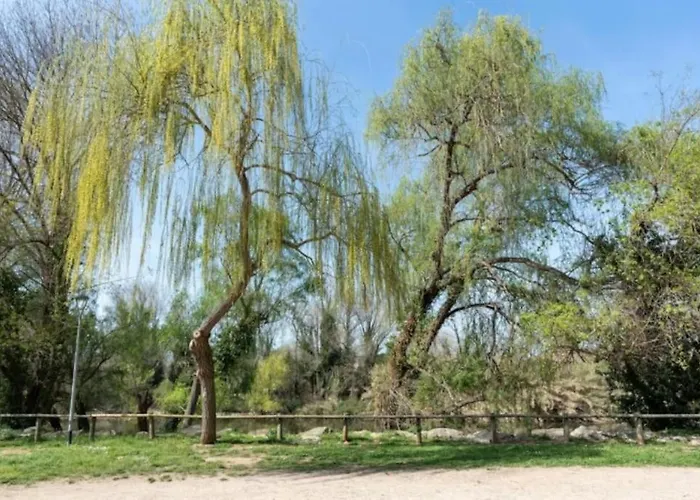 Acogedor Cerca Del Casco Antiguo *